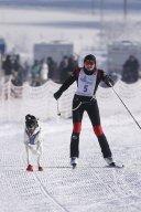 Lenk 2013